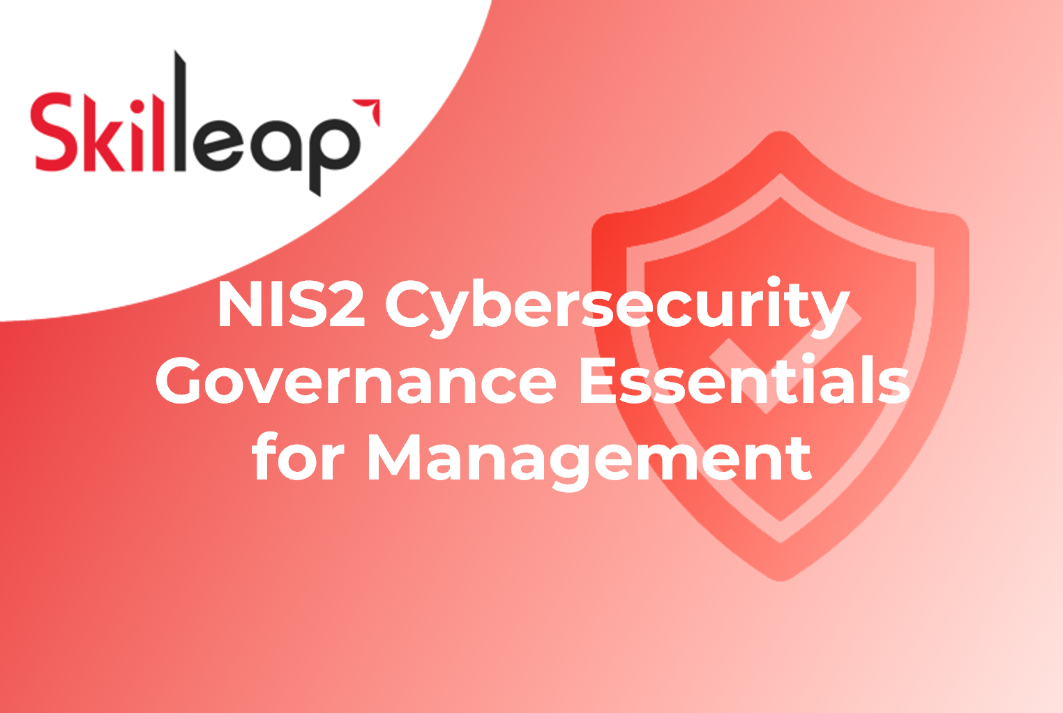 NIS2 Cybersecurity Governance Essentials for Management